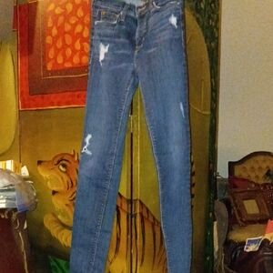 Hudson Jeans Distressed Blue Skinny Jeans